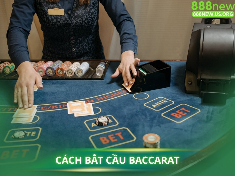 "Bắt Cầu Baccarat" là gì? Tại sao nó Hiệu quả?